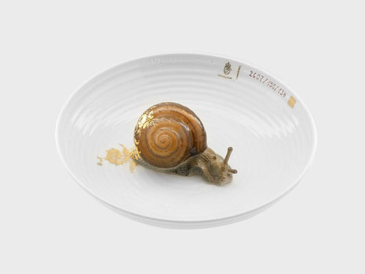 Tierschale Schnecke