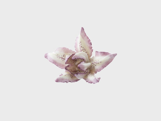 Tischblume Iris