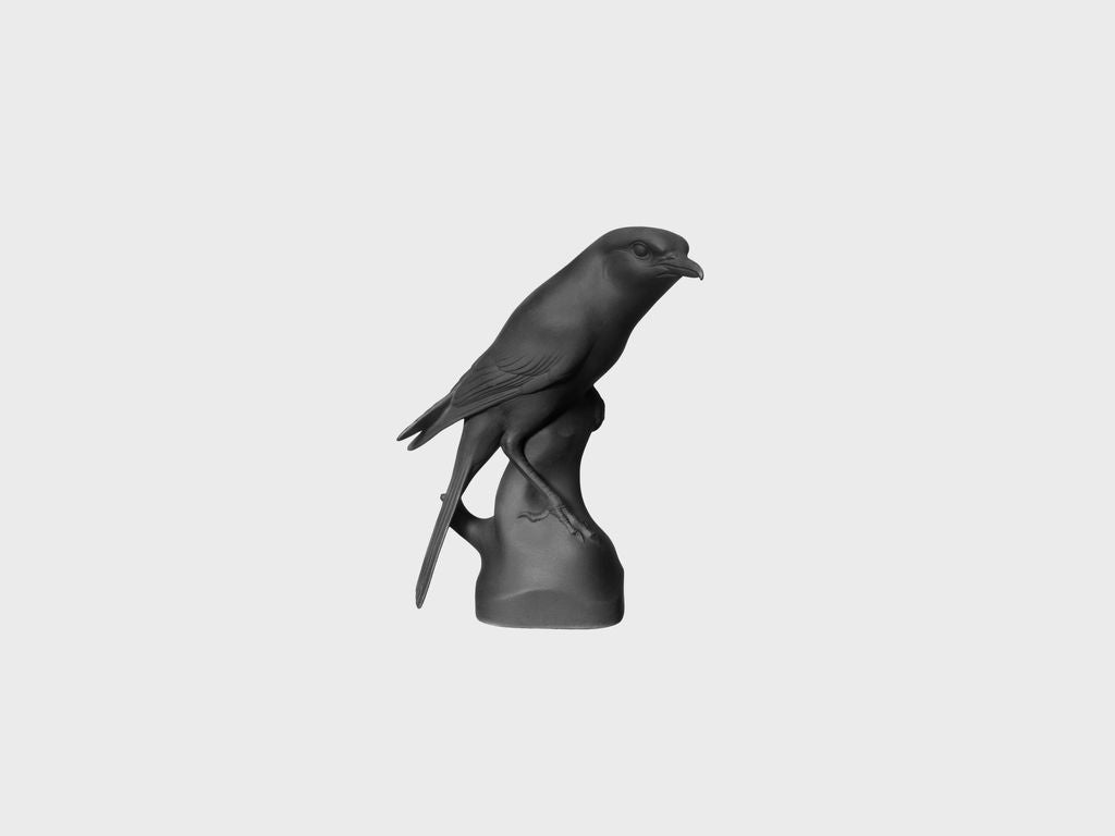 Shrike