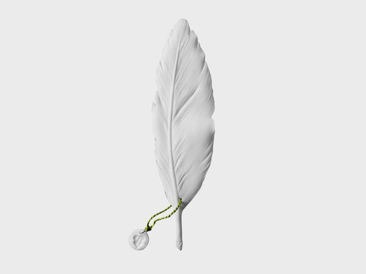 Feather