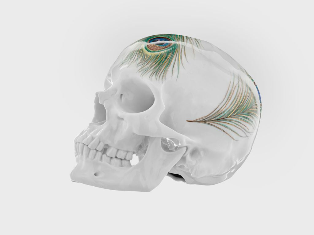 Skull Peacock feather (Limited edition 25 pcs.)