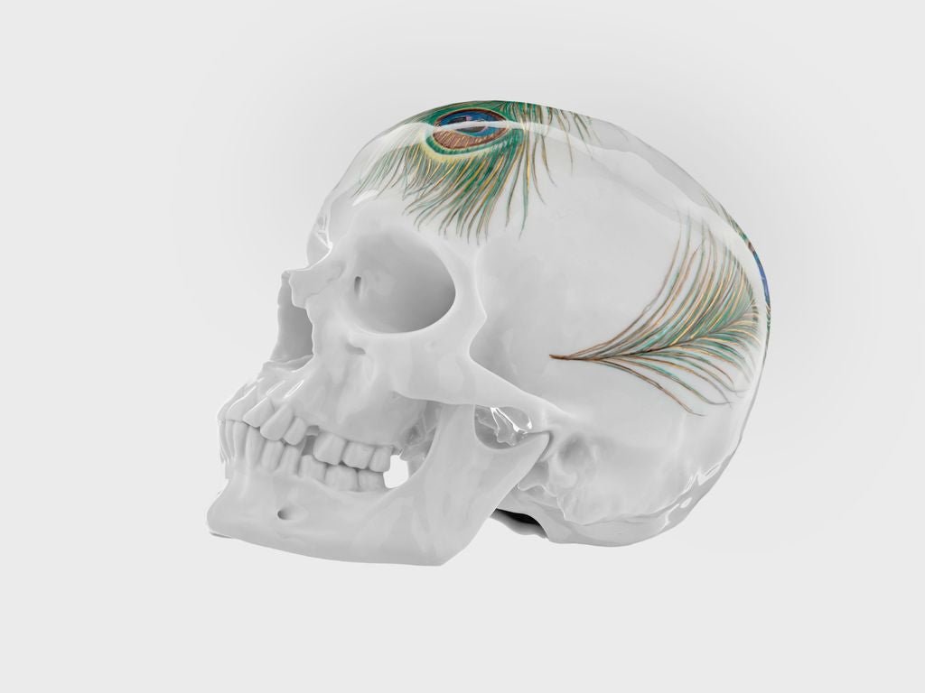 Totenkopf Pfauenfeder (Limitierte Edition 25 Stück)