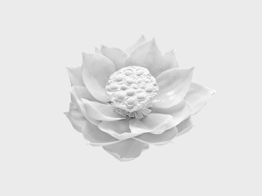 Table flower lotus blossom