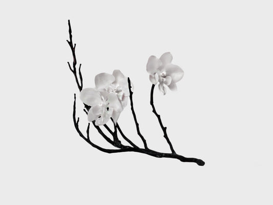 Orchideenzweig mit 3 Blüten