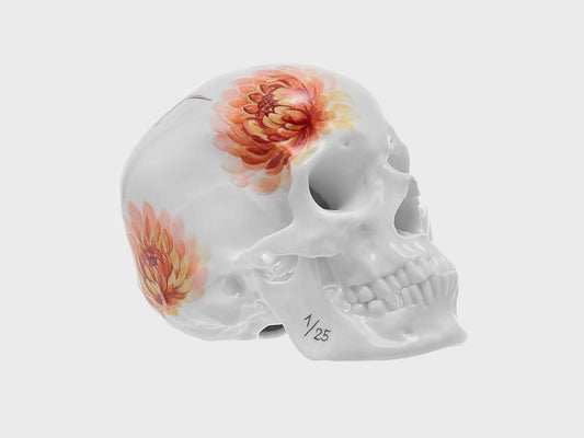 Totenkopf Kolibri (Limitierte Edition 25 Stück)