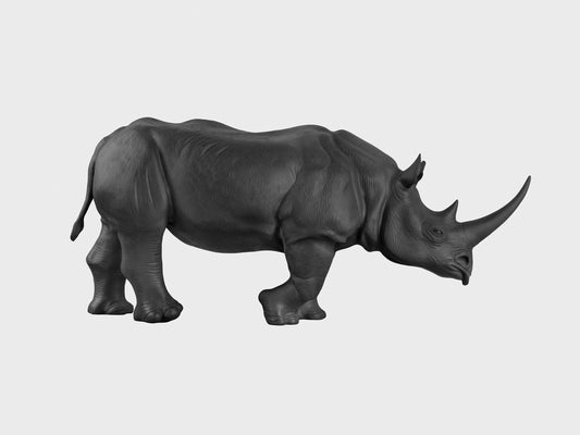 Spitzmaulnashorn Albert