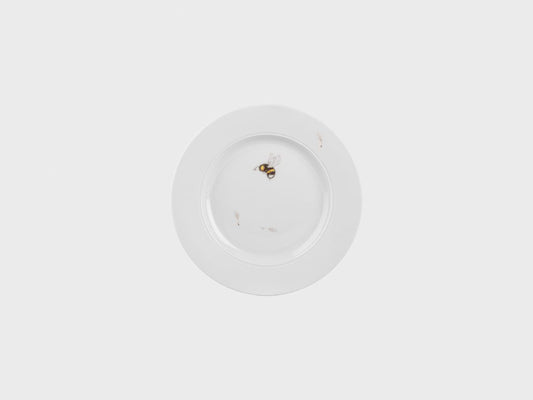 Teller | Lotos | Pusteblume | 16 cm