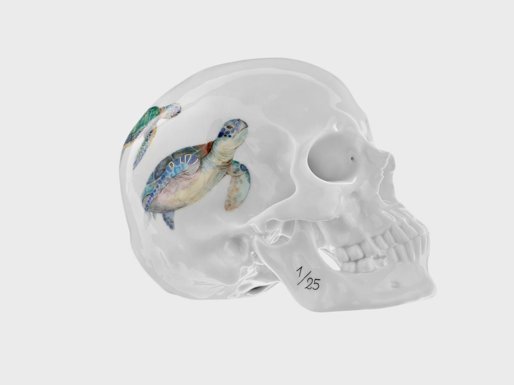 Skull Water Turtle (Limited edition 25 pcs.)