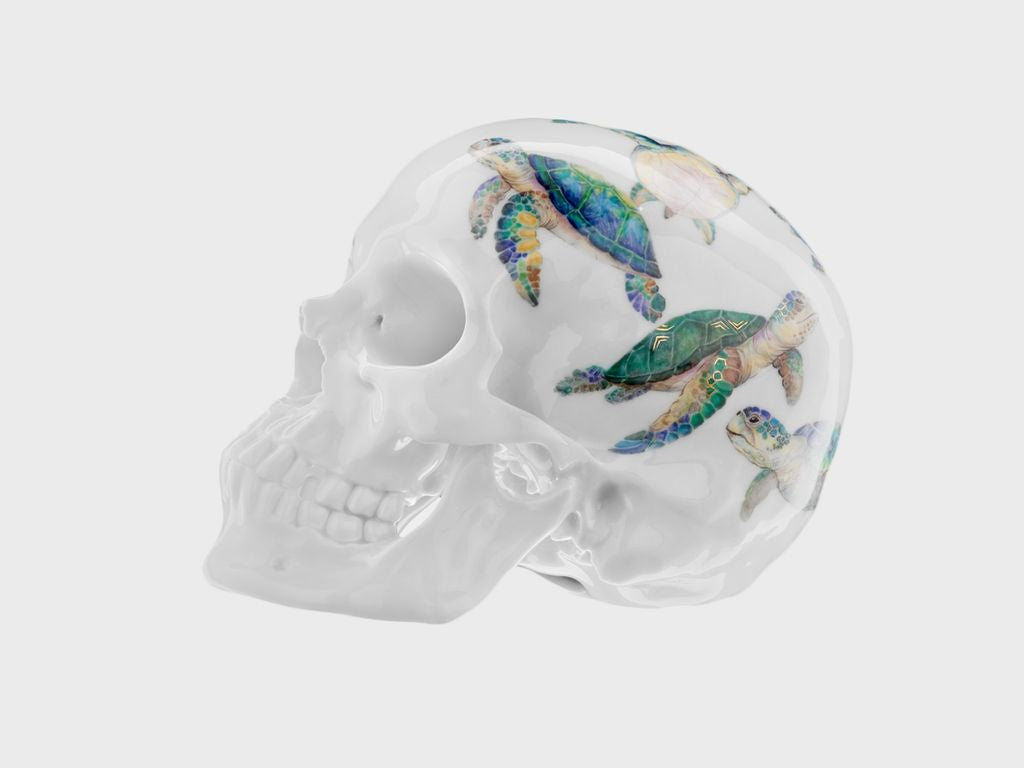 Totenkopf Wasserschildkröte (Limitierte Edition 25 Stück)