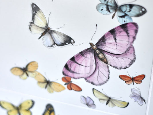 Wandfliese | Papilio