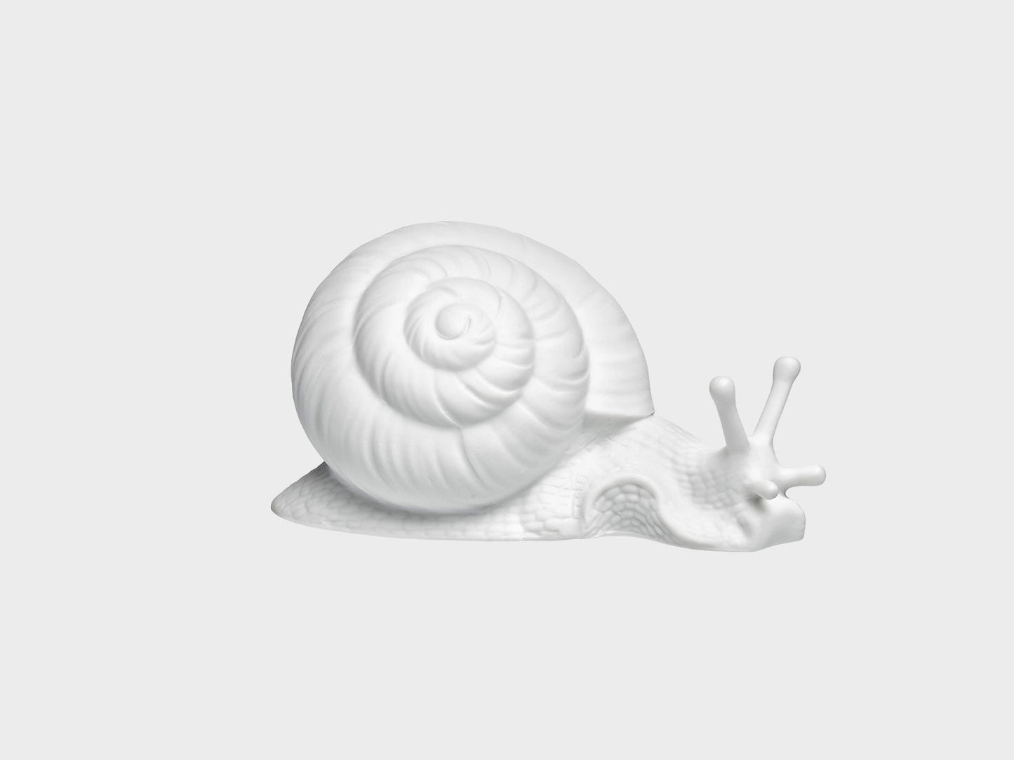 Schnecke