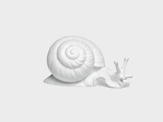 Schnecke