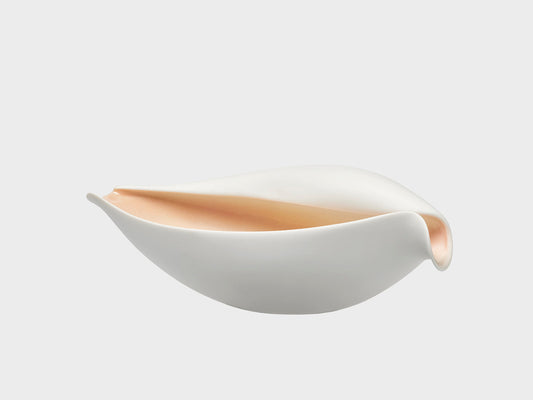 Volute bowl