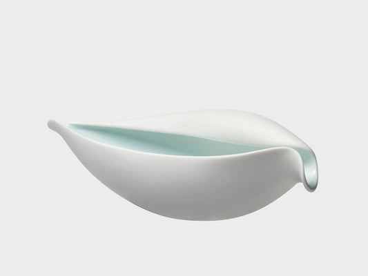 Volute bowl