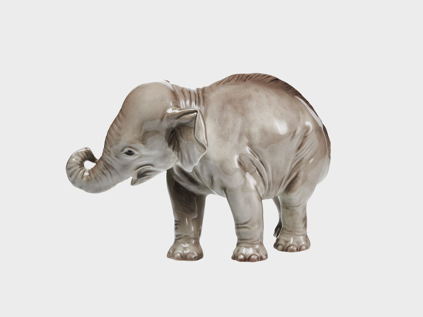 Elefant Rüssel eingerollt